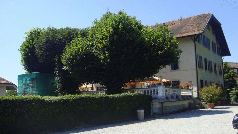 Hotel De Bahyse Blonay Luaran gambar